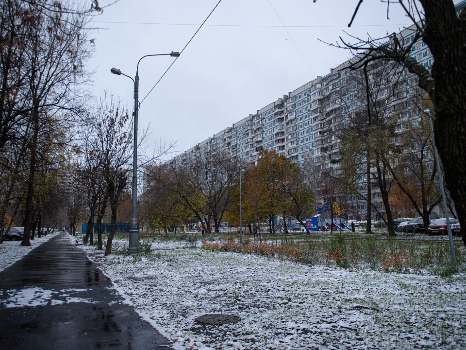 До зимнего снега в Московской области остались сутки