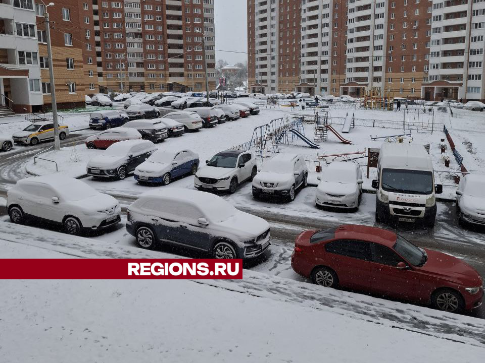 Дмитровский округ в праздничный день накрыл снегопад