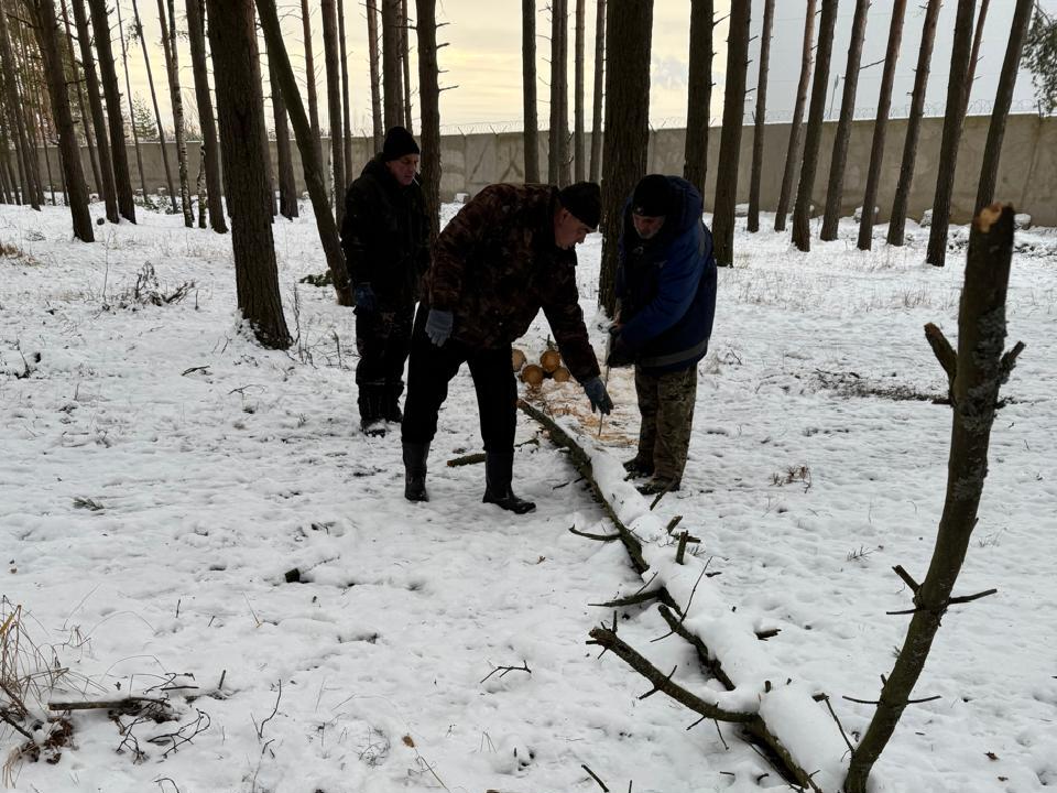 Коммунальщики убрали поваленные во время урагана деревья за заводом «Кронштадт»