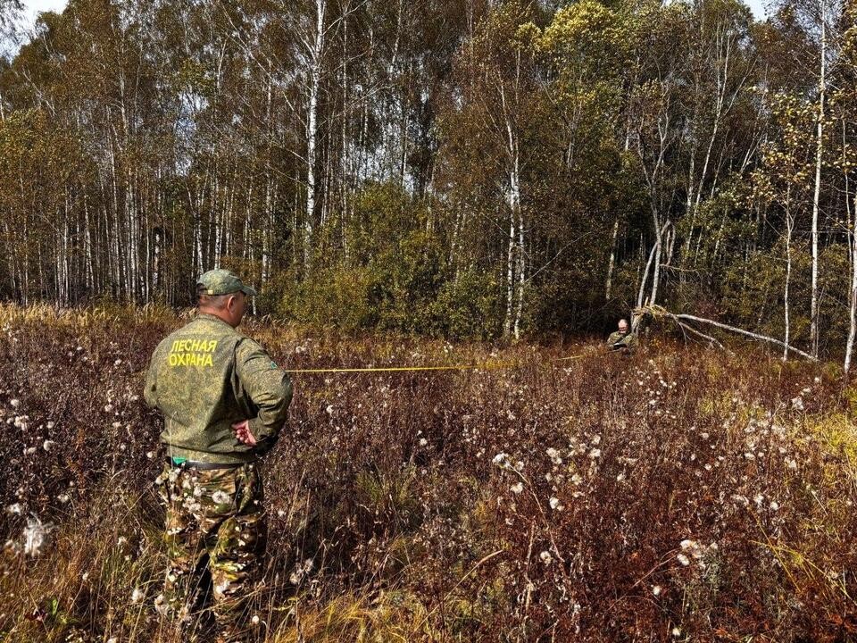 Лесничие проверили более 300 земельных участков, примыкающих к лесу в Орехово-Зуеве