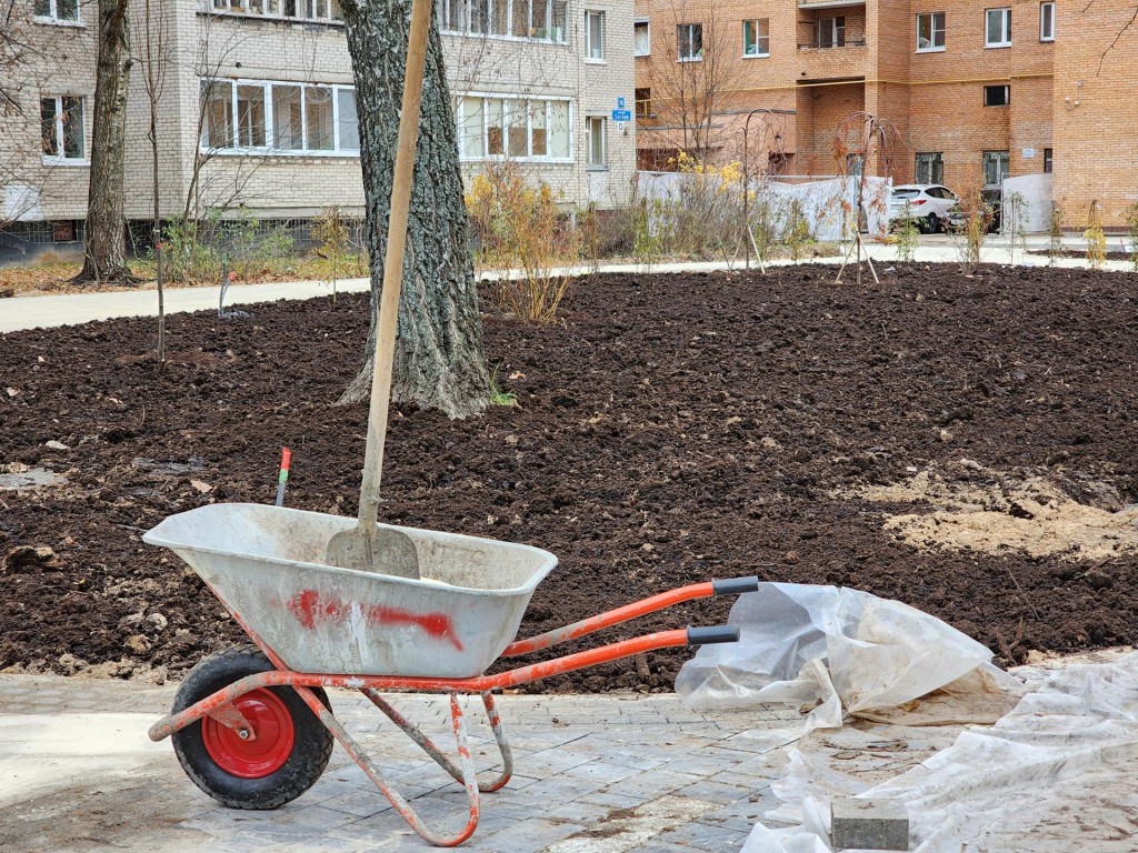 В сквере Журавлева в Дубне подготовили газоны и высадили деревья