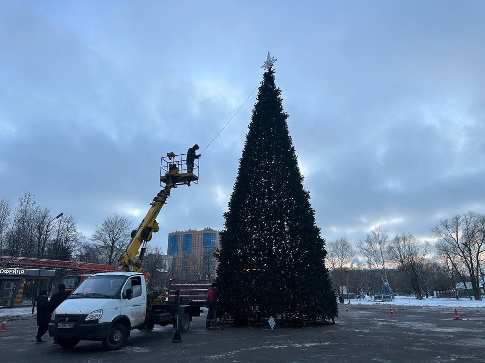 В Центральном городском парке в Реутове устанавливают новогоднюю елку