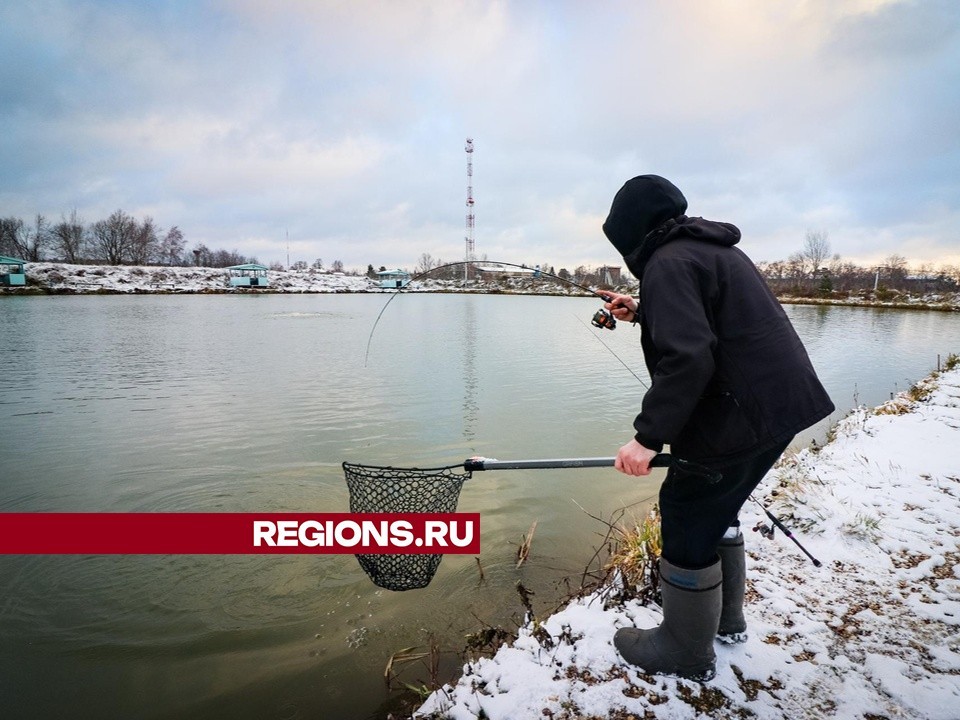 От форели до карпа: какую рыбу можной поймать в Клину под Новый год