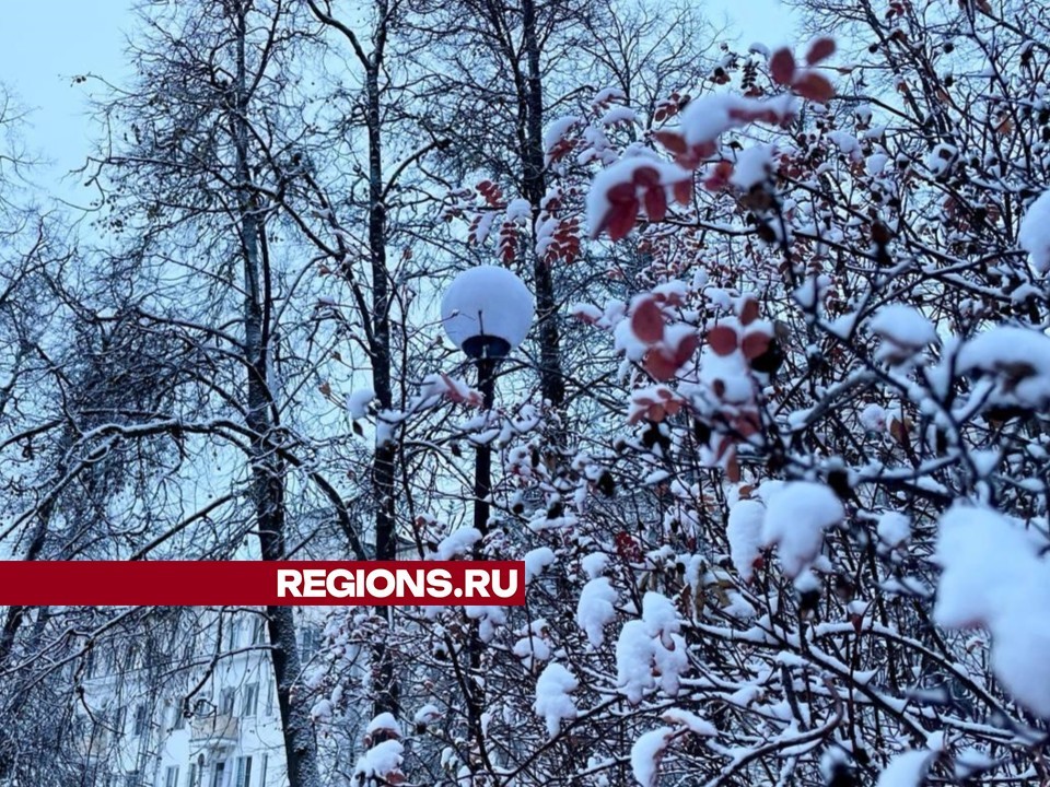 Дворники и техника вышли на улицы Сергиева Посада для борьбы со снегом