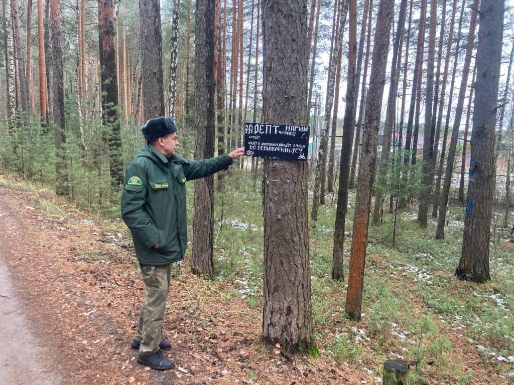 В Раменском лесничестве с деревьев убрали семь рекламных табличек