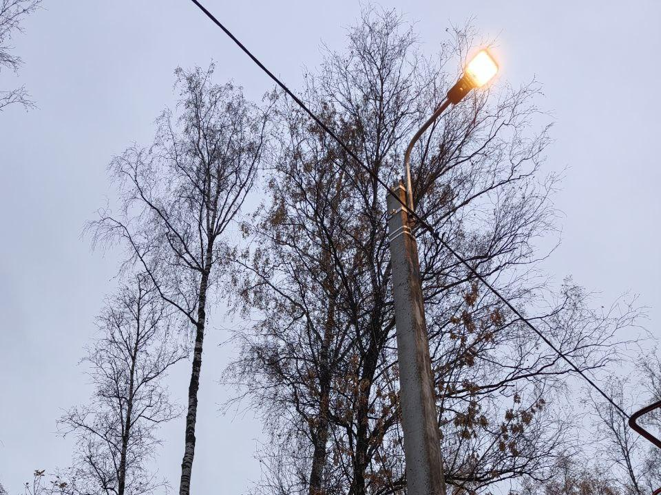 Дорога от «Дружбы» до «Горелого леса» в Электростали станет светлее