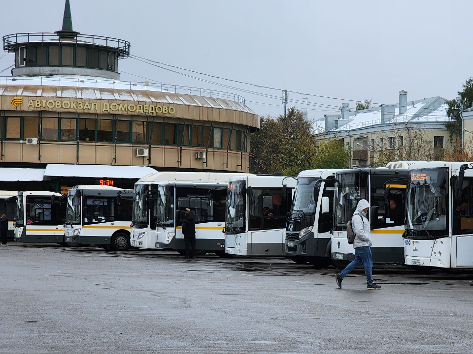 После просьбы жителей на линию маршрута № 420 добавят еще три автобуса