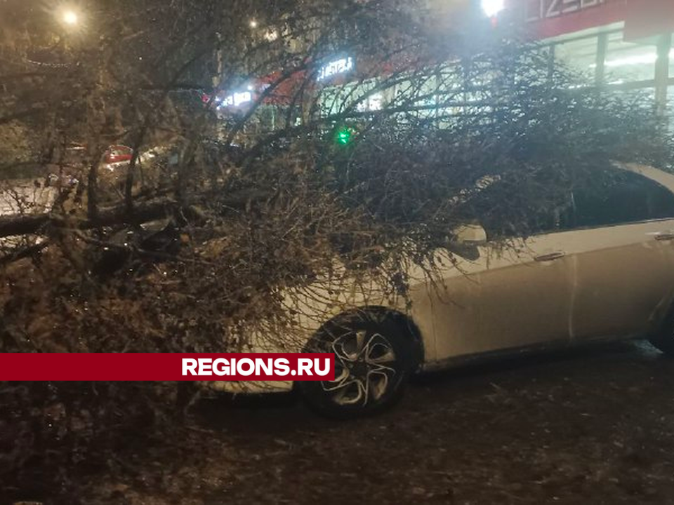 Несколько машин пострадали в Дзержинском от упавших из-за непогоды деревьев