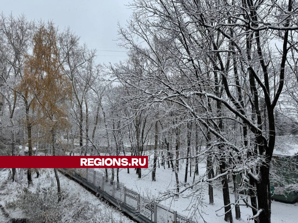 Балканский циклон «Каэтано» принесет в Дзержинский снег 23 ноября