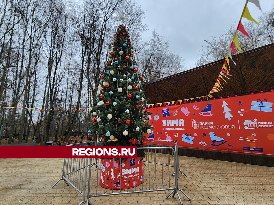 Новогодняя ель украсила парк в Солнечногорске