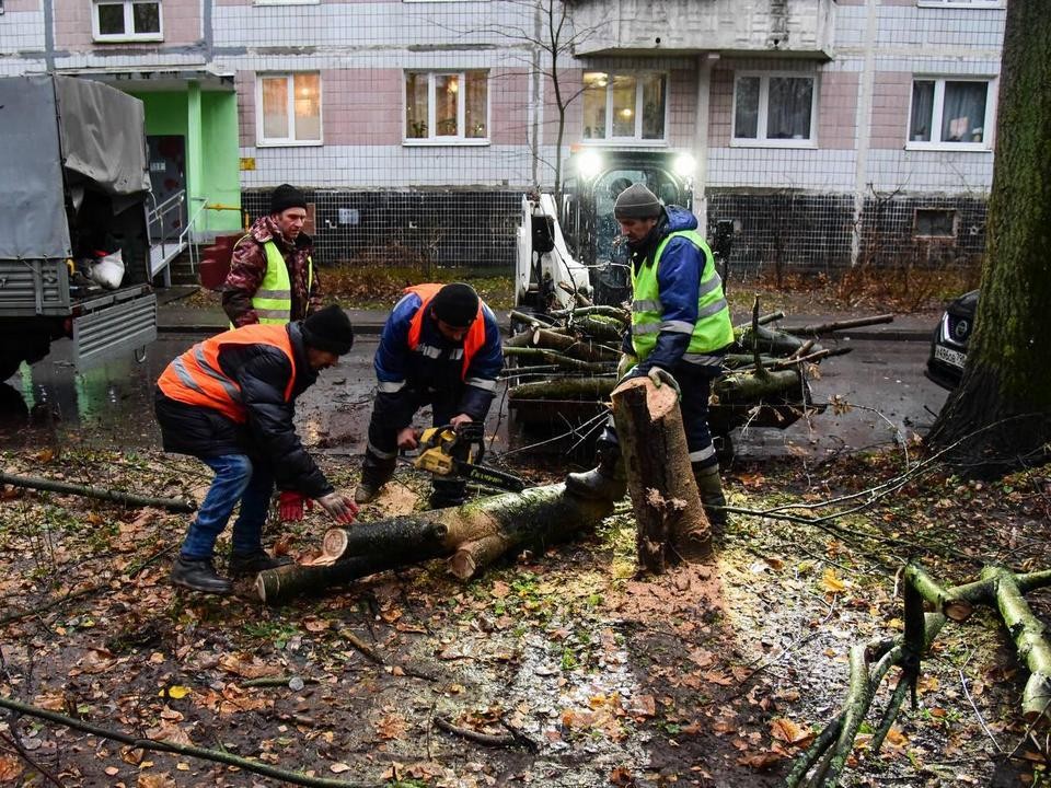 Металлический навес и несколько деревьев повалил штормовой ветер в Мытищах