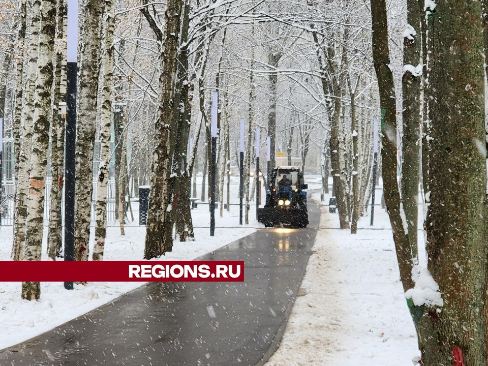 В Центральном парке Лобни очистили от снега все пешеходные дорожки