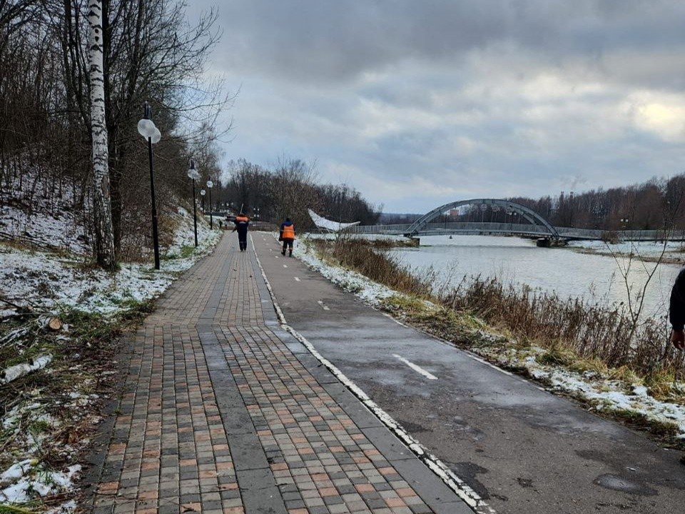 Коммунальщики оперативно убрали дерево , которое рухнуло от непогоды в Сестрорецком парке