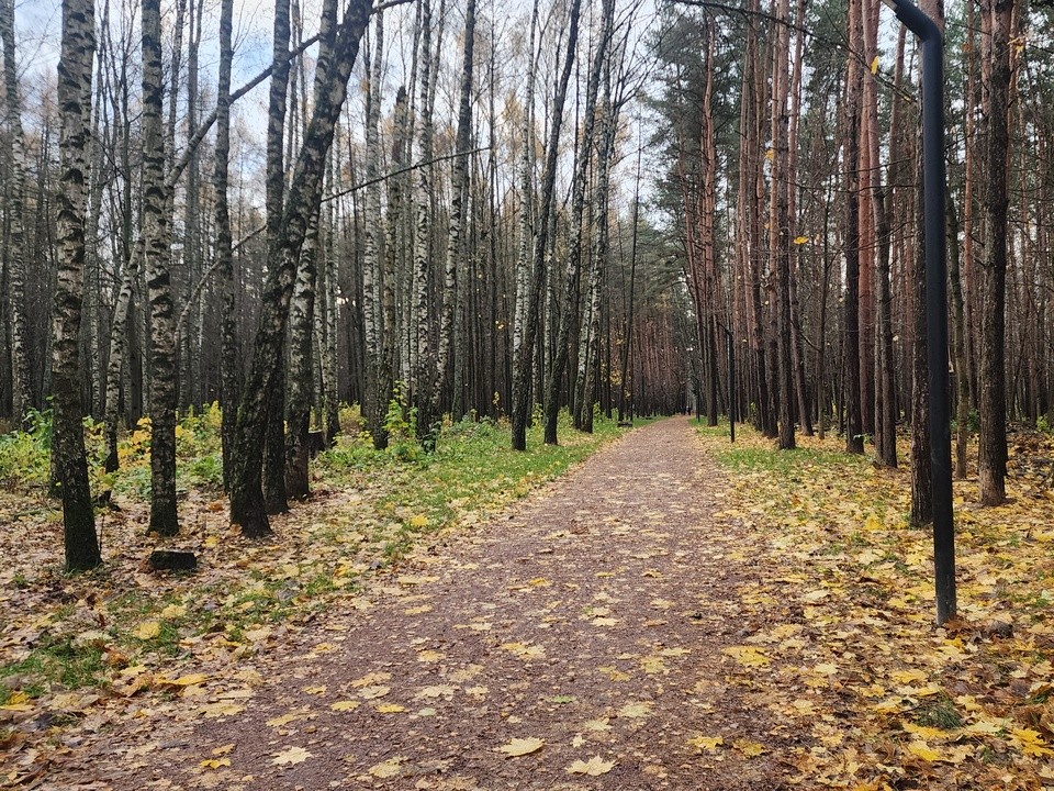 В пятницу в Звенигороде пройдет небольшой дождь