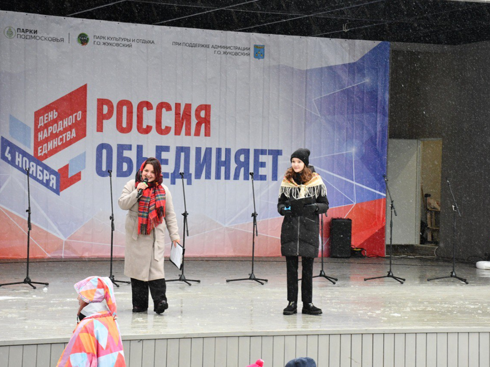 Жители Жуковского отметили День народного единства