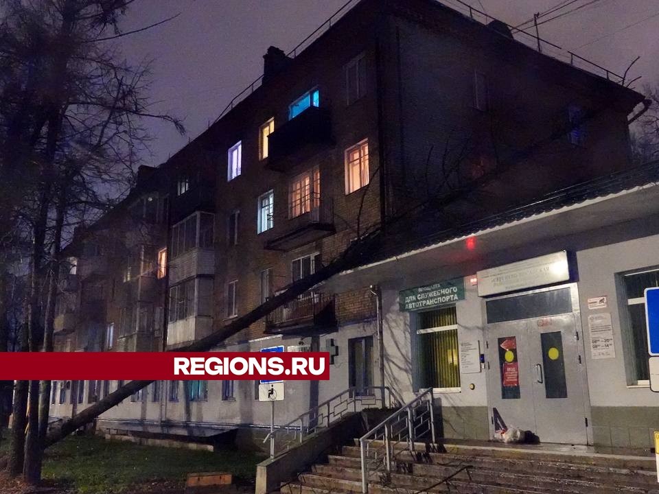 Перед снежной бурей в Сергиевом Посаде вернут отключенный ураганом свет