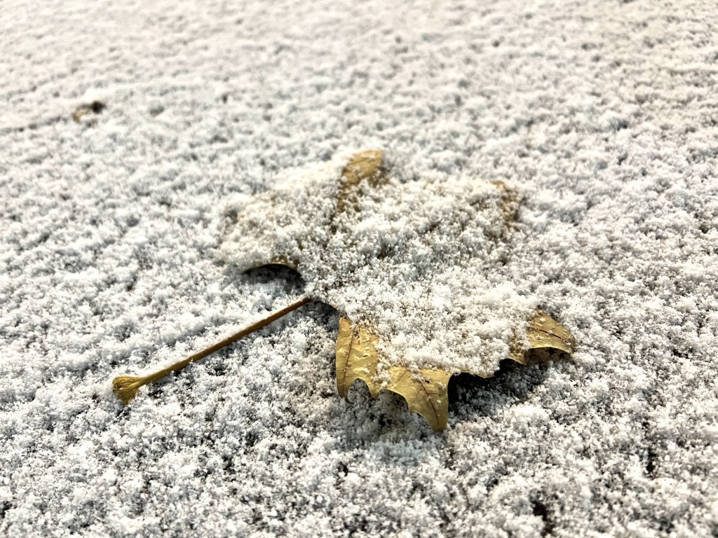 Вильфанд: снег в Подмосковье сохранится, несмотря на аномально теплую погоду