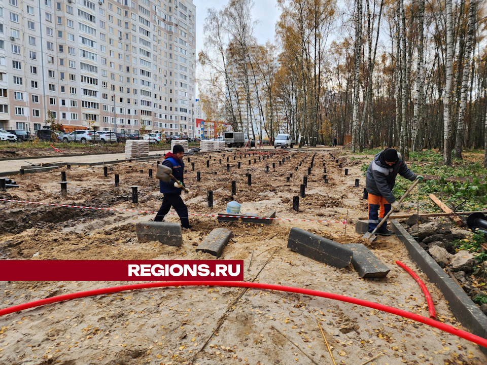 Фудкорт построят у входа в Губернский лесопарк в Чехове