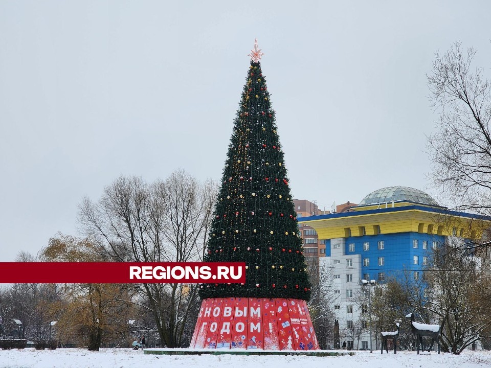 Новогоднюю ель установили около администрации Одинцова