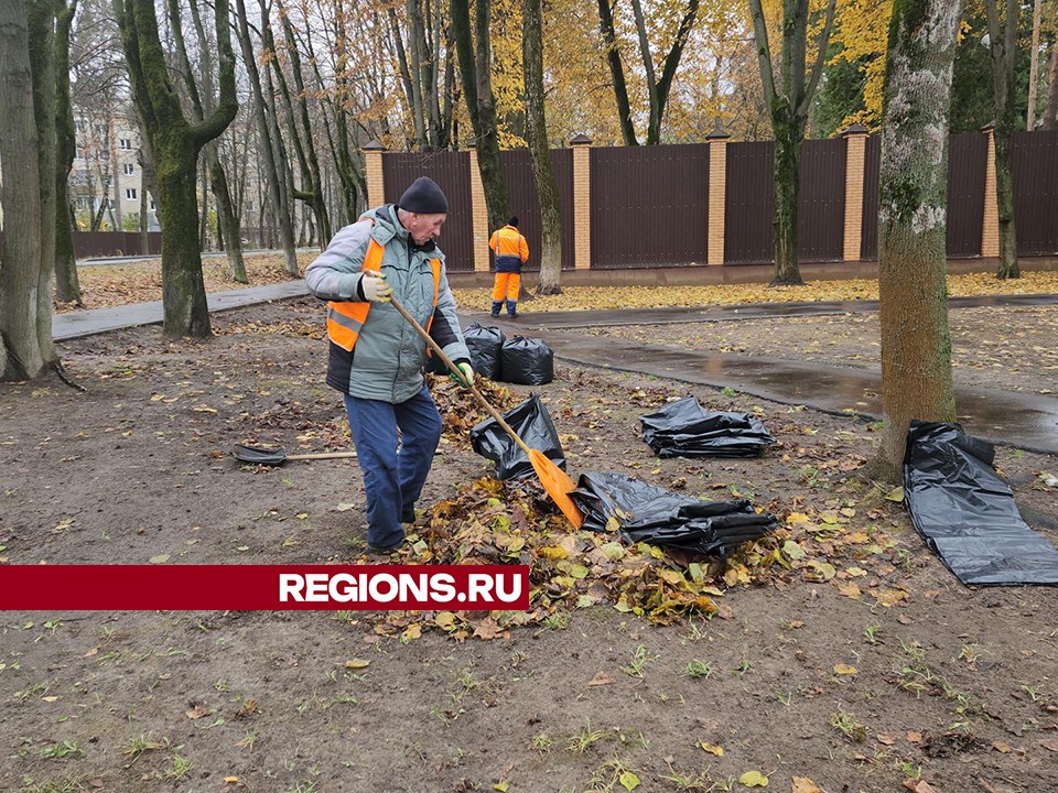 Cкверы и общественные пространства в Пушкино начали готовить к зиме