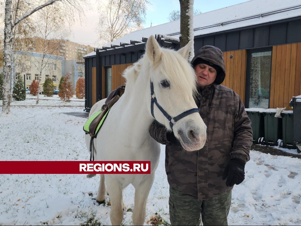 В Центральном парке Лобни на праздник организовали конные прогулки