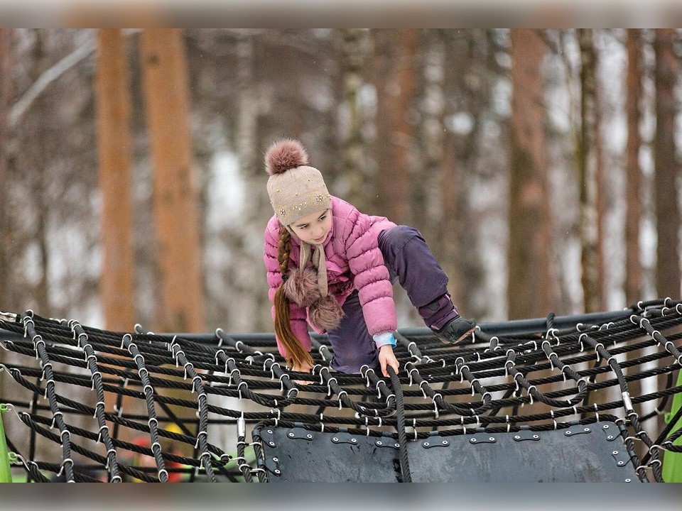 Парк «Пехорка» удерживает лидерские позиции по посещаемости в Подмосковье