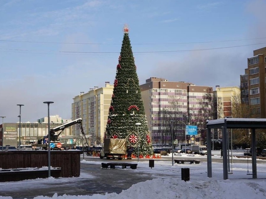 Главную новогоднюю ель Рузского округа зажгут 2 декабря