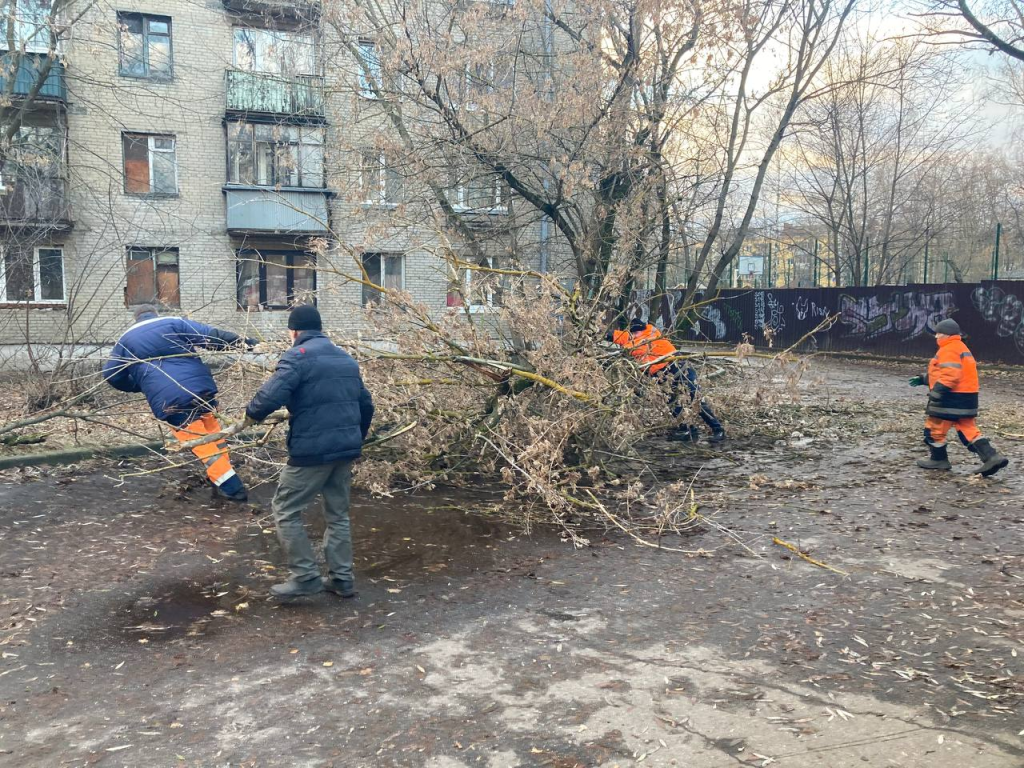На Строительной улице коммунальные службы убрали поваленное ураганом дерево