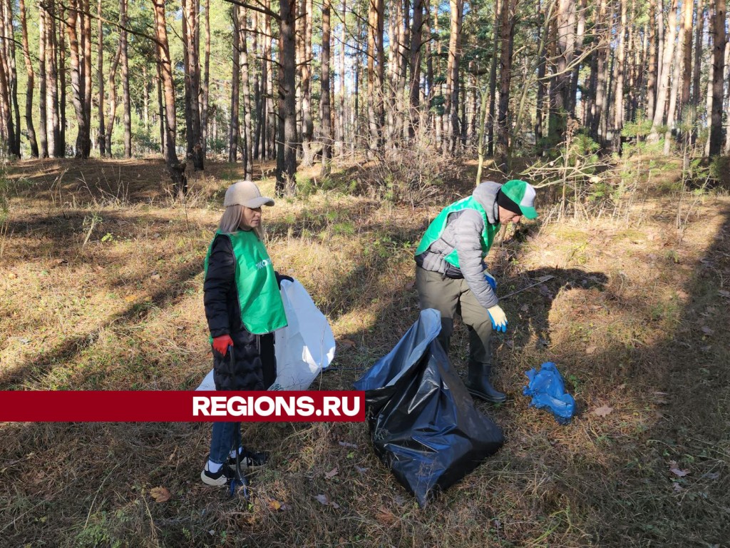 Эковолонтеры очистили территорию ступинского затона от мусора