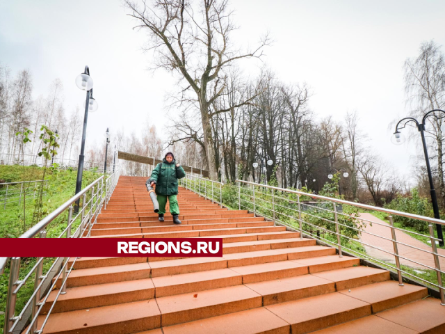 Коммунальщики убрали листву с пешеходных дорожек в Сестрорецком парке