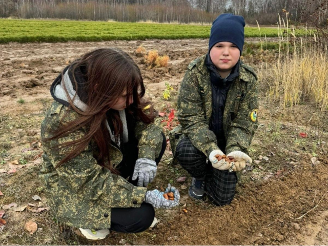 В Подмосковье заготовили семена дуба, часть собрали раменские школьники