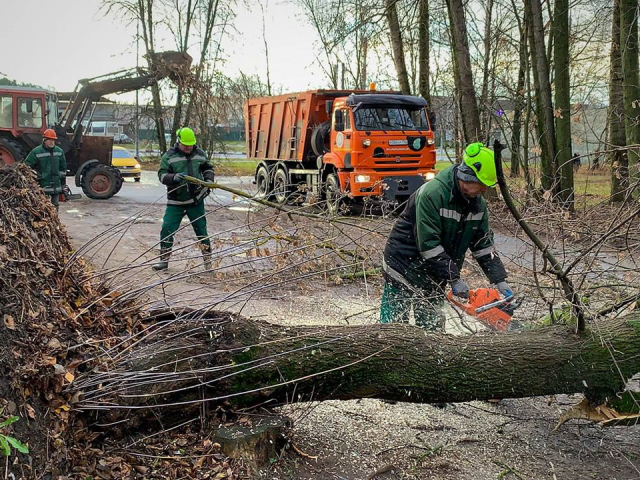 Коммунальные службы Электростали устраняют последствия непогоды