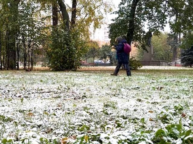 В Шаховской ожидается снег с дождем