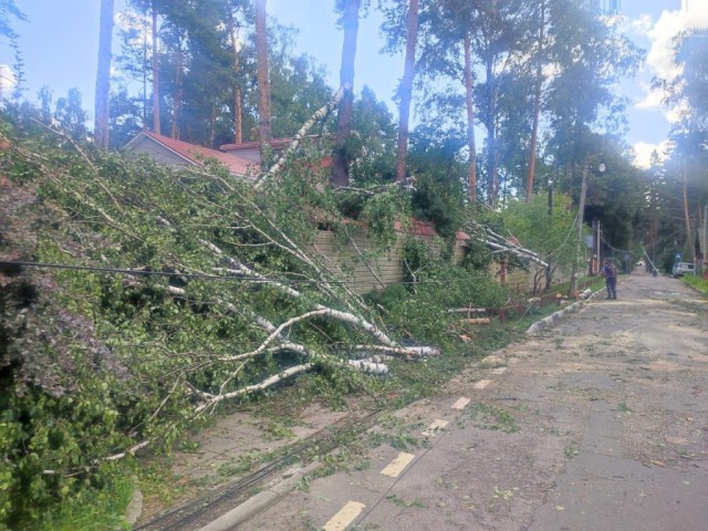 Ураган в Раменском повалил дерево и задул Вечный Огонь