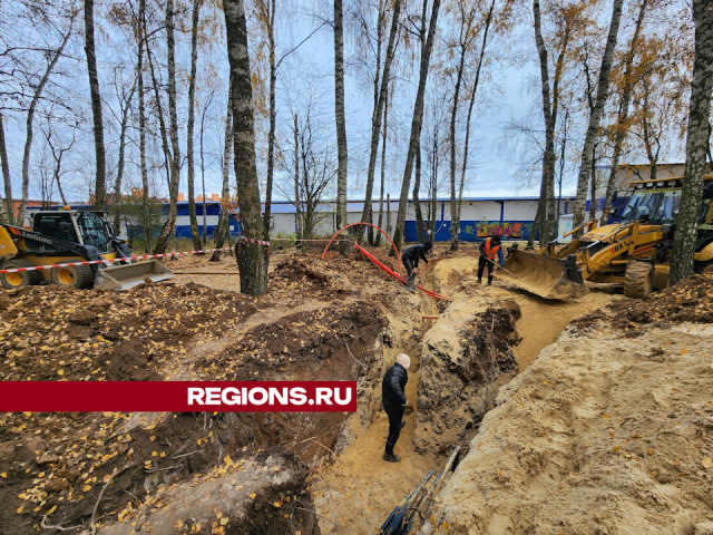 Умные фонари установят в Губернском лесопарке в Чехове