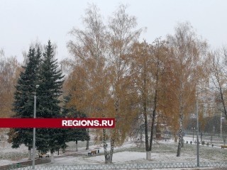 Осадки и холод: погода в Луховицах не радует