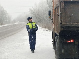 Четыре грузовика с незаконными отходами арестованы в Богородском округе