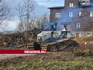 Пруд в Софрине избавят от поваленных деревьев, не задевая иловый слой