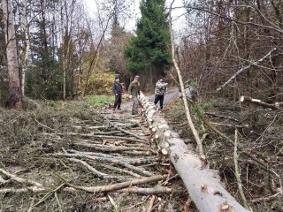 Звенигородские лесничие убрали аварийные деревья возле СНТ «Чайка»