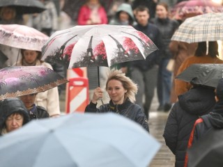 В Подмосковье объявлено экстренное предупреждение из-за ураганного ветра