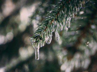 В среду в Звенигороде пройдет мокрый снег