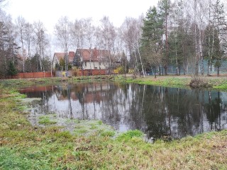 В четверг в Звенигороде холодно и пасмурно