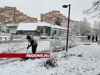 Дворники остаются одной из востребованных профессий в Протвине