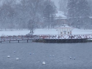 Метеорологи пообещали потепление в Бронницах 7 ноября