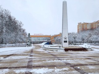 Первые морозы проверили жителей Подмосковья на прочность