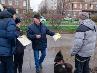 Жителей Кузнечиков предупредили об участившихся случаях отравления собак