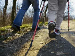 Фестиваль скандинавской ходьбы прошел в Красногорске на лыжной базе