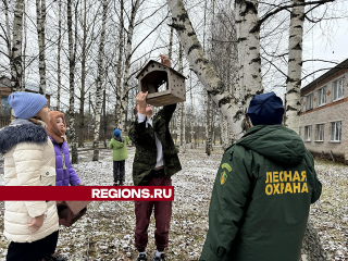 Школьники Шаховской сделали десятки кормушек, чтобы помочь птицам пережить зиму