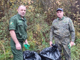 Звенигородские лесничие привели в порядок территорию Старогородковского пруда