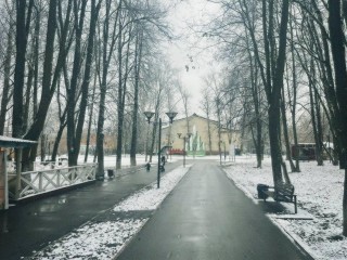 Городской парк закрыли для посещения из-за неблагоприятных погодных условий